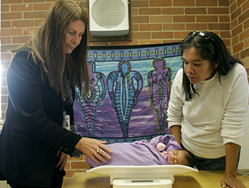 Cairns Hinterland Thumbnail